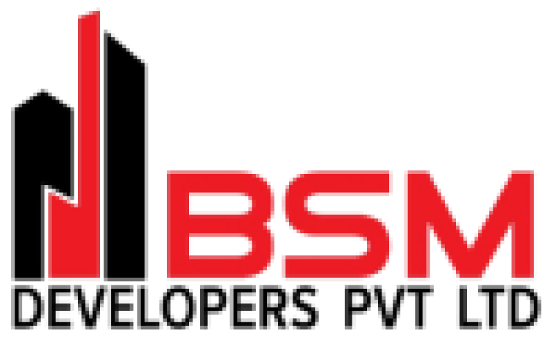 bsm dEVELOPERS